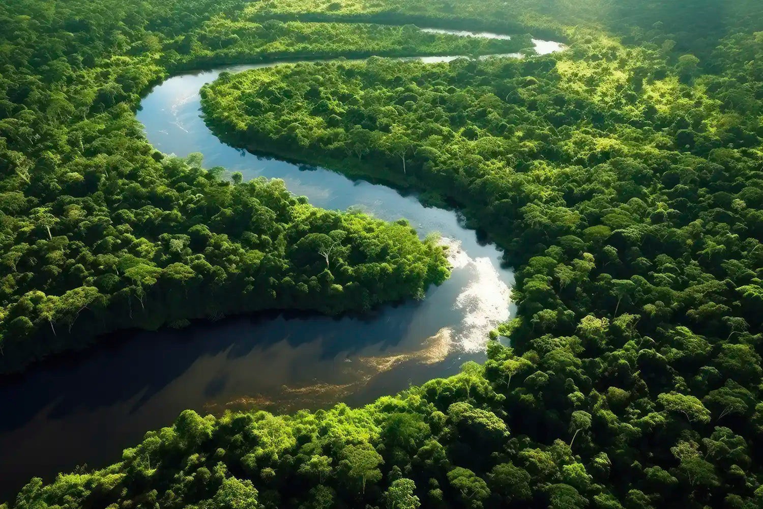 Fair Fashion was ist das? Regenwald Amazonas