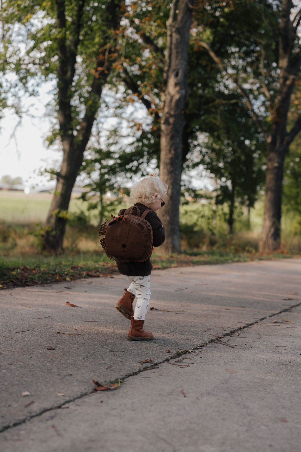 Cardigan | Hazelnut